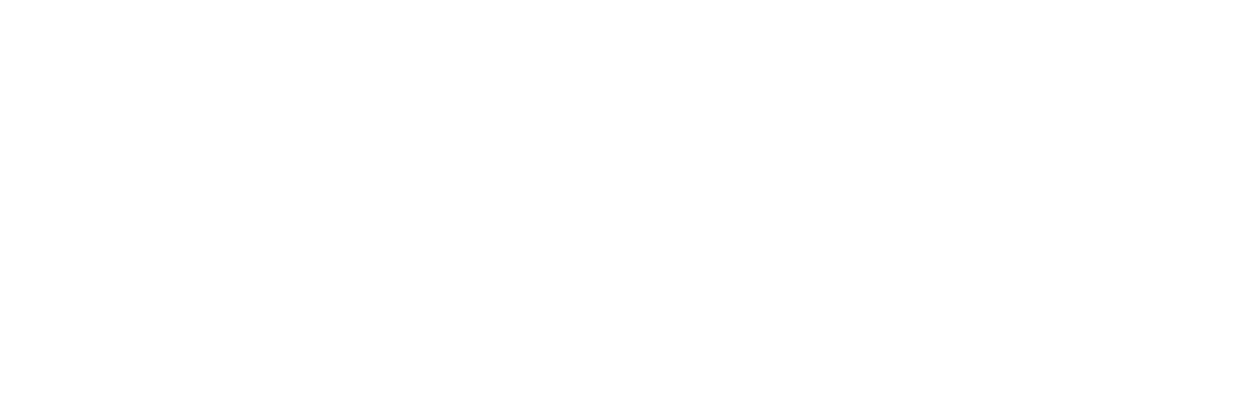 Dreamtex - Logotyp podstawowy - slogan - Dreamtex White Head logo